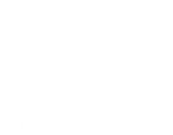Mein Shop